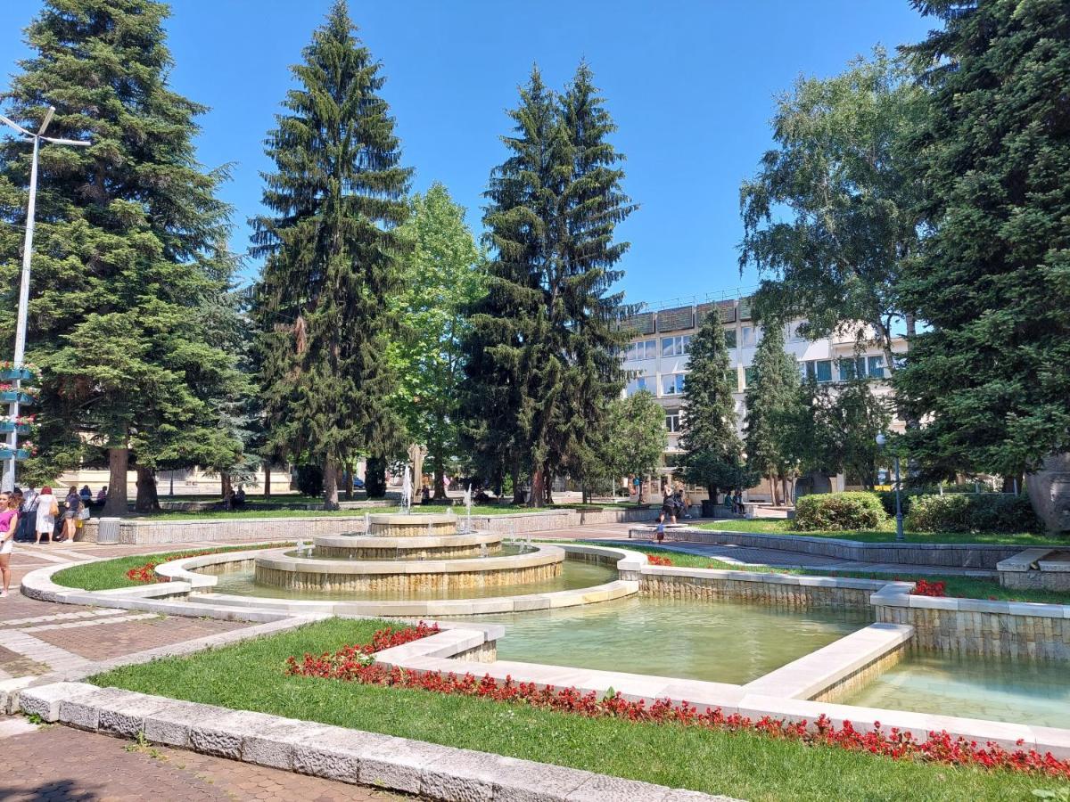 Дом Тодор И Тота Мутевски โตรยัน ภายนอก รูปภาพ